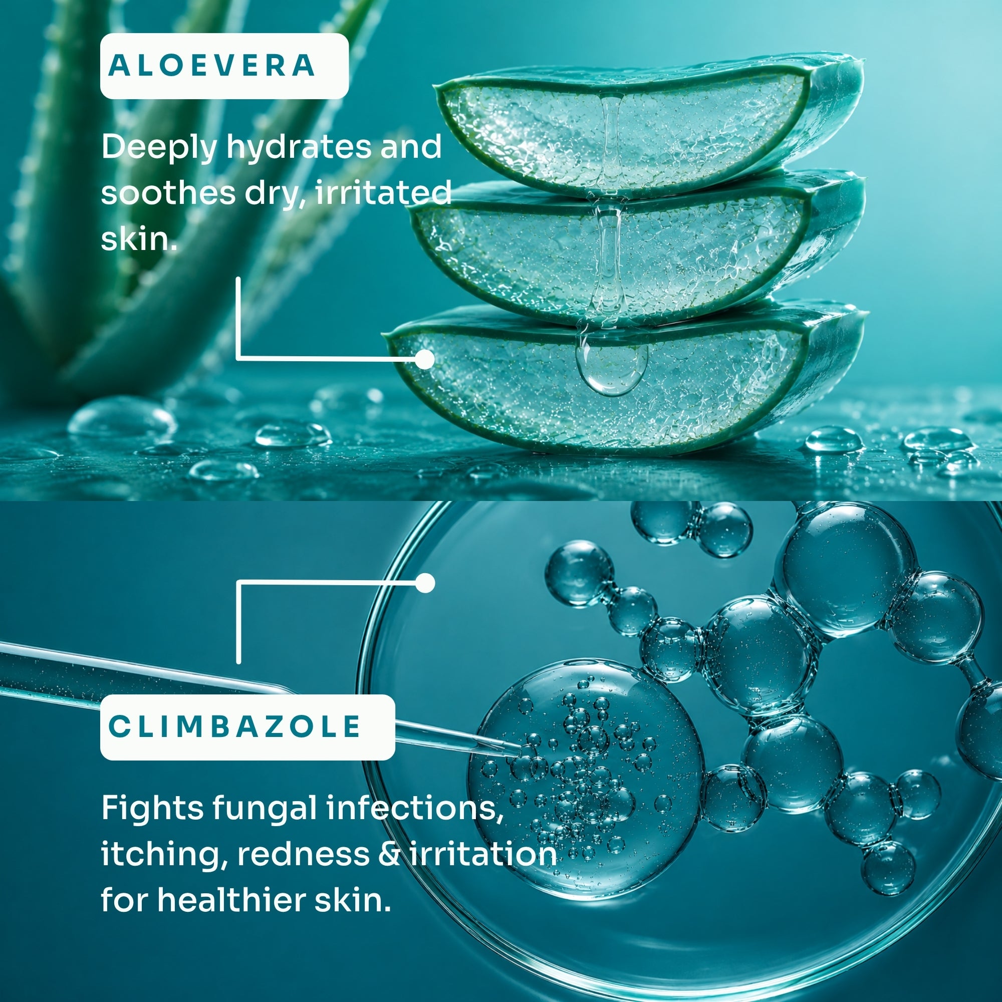 Anti Fungal & Anti Bacterial Soap (75g/Soap)