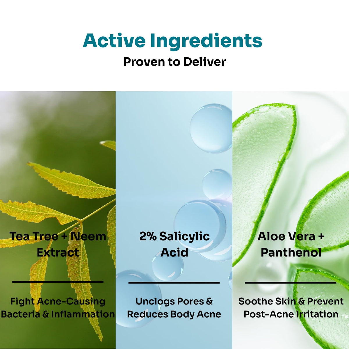 Kitcoz 2% Salicylic Acid Anti Acne Exfoliating Body Wash for Body/Back Acne & Strawberry Legs | Sulp
