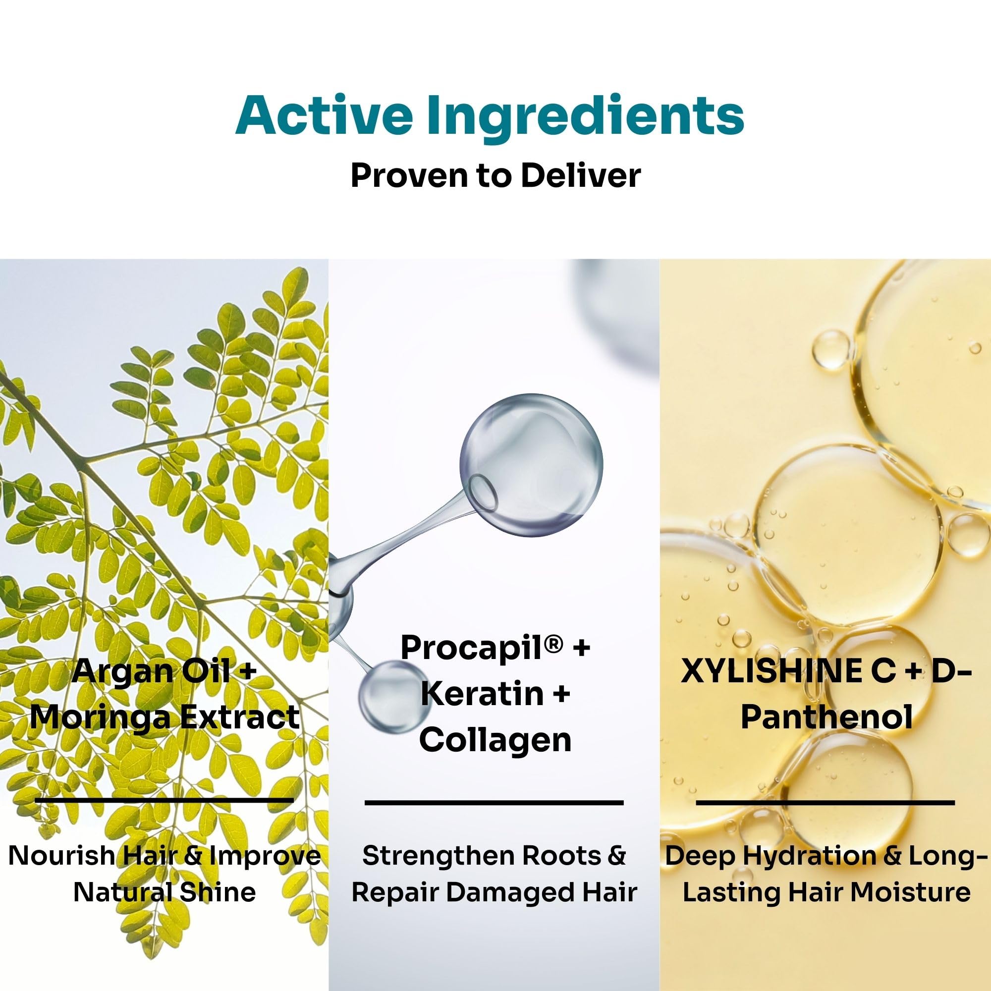 Kitcoz HydraLuxe Moisturizing & Repair Shampoo for Dry & Damaged Hair with Procapil, Argan Oil, Mori